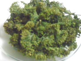 Các loại thảo dược hỗ trợ điều trị tim mạch, xơ vữa động mạch, suy tim, hở hẹp van tim